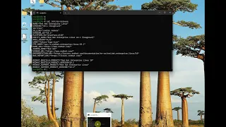 Install SQL Server 2025 on Linux RHEL 10 and Ubuntu 24 online install
