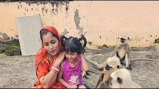 Badri Narayan Bhadra is live
