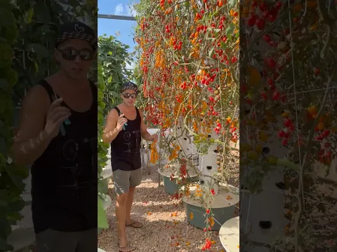 We grow hundreds of crops vertically on aeroponic towers 🌱 #farming #gardening #agriculture
