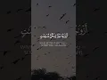 Download Lagu Wives better than you | At-Tahrim 5 | Mishary Rashid Alafasy #quran #mishary #viral #shorts