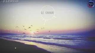 Download DJ GROSSU _ Ce frumos e cand iubesti | How beautiful it is when you love  ( Official music ) 2020 MP3