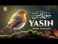 Surah Yasin (Yaseen) سورة يس | This Will Touch Your Heart and Soul إن شاء الله | Zikrullah TV
