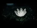 Porter Robinson - dullscythe (Official Music Video)