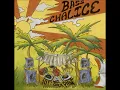 10 Ft. Ganja Plant - Blood Money [ROIR Rechout International Records 2005]