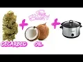 How To Make Cannabis Infused Coconut Oil Using Crock-Pot