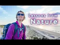 Download Lagu How Photographing Nature Connects Me to Something Greater