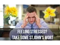 Anxiety Relief Reduces Stress with St John s Wort - Thomas DeLauer