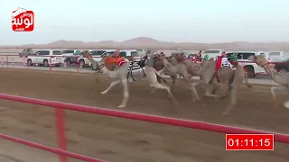 الشوط 5 سيوف لـ سيف سالم حمد الدرعي 2 9 48 شارة الصندوق 2023 8 20 فطامين الرقيعات 