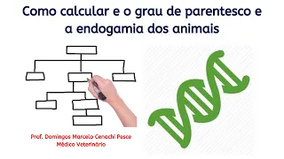 Como calcular o grau de parentesco e a endogamia dos animais