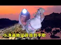 Lagu 小漁在凌晨無人島趕海，遇擱淺的氣泡魚，遍地猛貨撿到手軟【漁小仙】