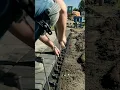 Top 3 Options for Paving Stone Driveway Edge Restraints
