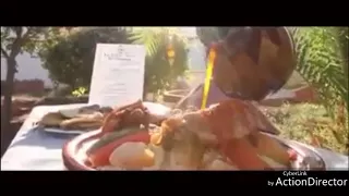 تعرف على مدينة مستغانم في دقيقة الجزائر 