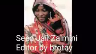 Eritrean Song Said Jali Zalmini اغنية الفنان الرائع سعيد جعلي زلميني 