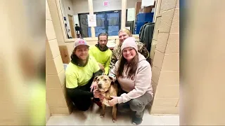 Tennessee sheriff s department pairs inmates with shelter dogs who need warm place to stay