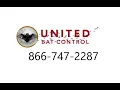 Temple TX Bat Removal 866 747 2287