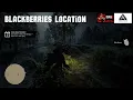 Red Dead Redemption 2 Blackberries Location