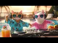 Download Lagu Miami Pool Party with the Coolest DJ Cat Duo 🎧🌴 | Progressive House Sunset Vibes