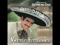La Tienda - Vicente Fernández