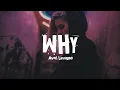 Lagu Avril Lavigne - Why Lyrics