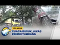 Lagu Cuaca Buruk, Pohon Tumbang Tutup Akses Jalan Nasional [Top News]