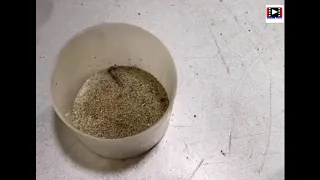 Watch how to repair a lighter a high skill and efficiency
