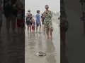 Endangered sea turtle returns to ocean after rehabilitation in Coney Island