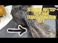 Severely matted teen hair transformation after over processed color damage