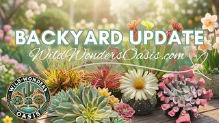 Backyard Nursery Tour + Carnivorous Plant Jungle! | Wild Wonders Oasis 🌿