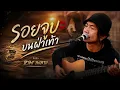 รอยจูบบนฝ่าเท้า - หลง ลงลาย (Audio video)