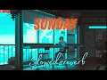 SUNDAY - Aditya A [ REVERB + SLOWED + LYRICS ] LOFI SONG