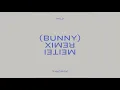 Bunny (Meitei remix) - Tourist