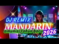DJ REMIX MANDARIN AMUNISI TAHUN BARU 2026