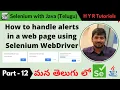 P12 - How to handle alerts in a web page using Selenium WebDriver
