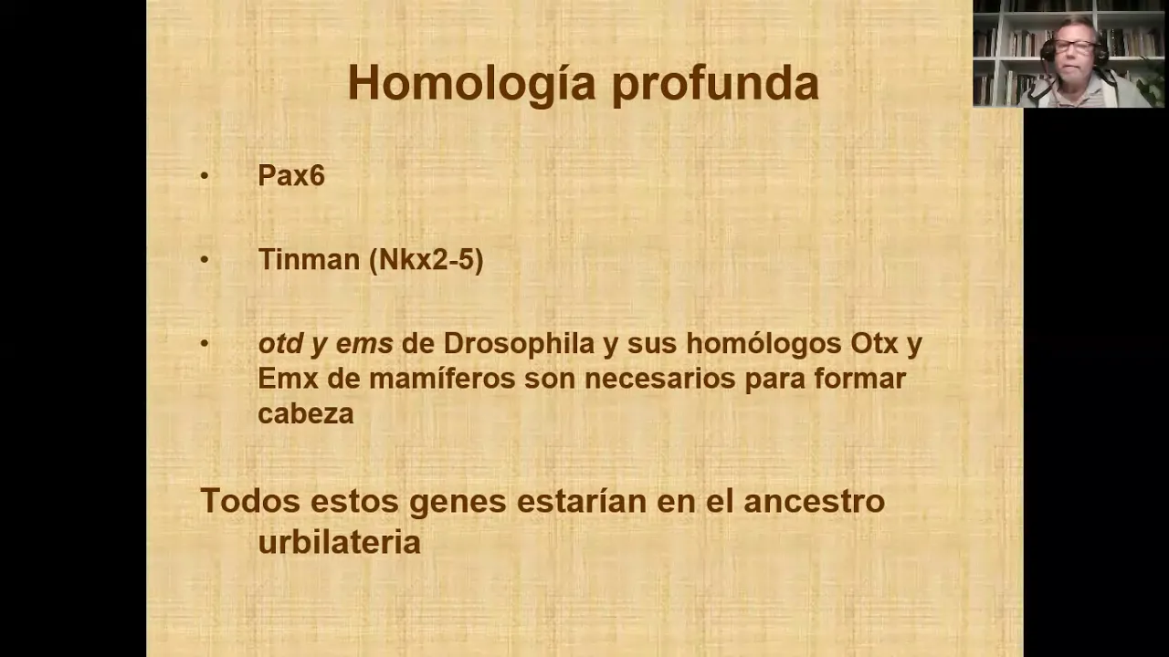 Evo-Devo Parte 3