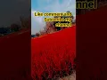 Download Lagu 🙏Mat kar itna guroor🤳 surat pe a haseena💃 #hindisong #song #bollywood #love