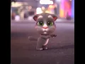 Download Lagu Cute Talking Tom -Rindu Semalam Song (talking tom dancing tiktok)