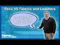 What Sofa Fabric is Best for Your Pets