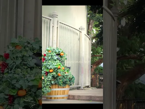 Well That ESCALATED QUICKLY...  #bushman #bushmanprank #texasbushman #scareprank #funnyvideos