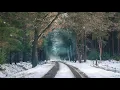 Tycho - A Walk | Deep Chilled