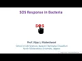 Lecture 35 SOS Response in bacteria