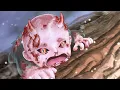Download Lagu Loki BÉBÉ a le meilleur palmarès toutes œuvres confondues