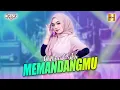 Download Lagu Mira Putri ft Ageng Music - Memandangmu (Official Live Music)