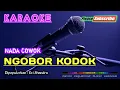 Download Lagu NGOBOR KODOK (Nada Cowok) -Evi Shandra- KARAOKE