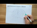 Bohr-Rutherford Diagram of Xenon Xn
