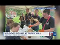 More than 100 dogs rescued from extremely neglectful conditions in Joelton home