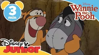 Mini Adventures Of Winnie The Pooh Tigger And Eeyore Disneykids 