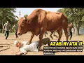 Download Lagu Geger !! Pak haji tega Fitnah Tukang becak sampai di tendang, Tapi Azabnya Seketika Datang !!!