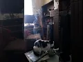 Patterns in incense smoke