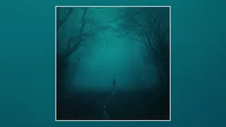  neheart u0026 reidenshi snowfall sped up extended