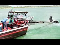 Download Lagu Starting Dangerous Massive V8 Diesel Truck Engine on a Tiny Boat